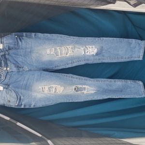Wallflower size 17 jeans